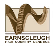 Earnscleugh High Country Genetics